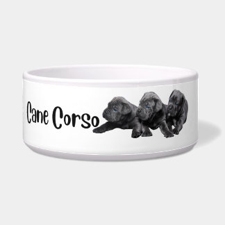 Cane Corso - dog bowl by breed