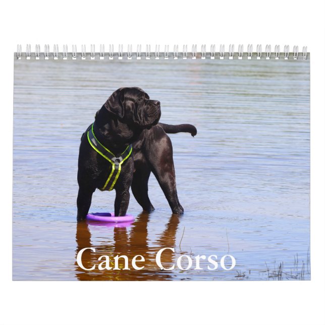 Cane Corso Dog Calendar (Cover)