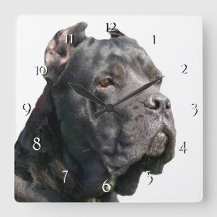 Cane Corso dog  clock