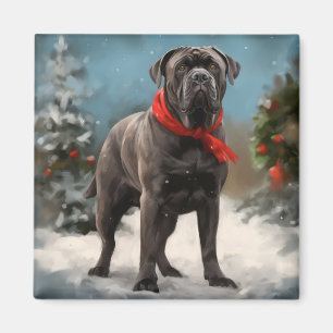 Cane Corso Dog in Snow Christmas  Magnet