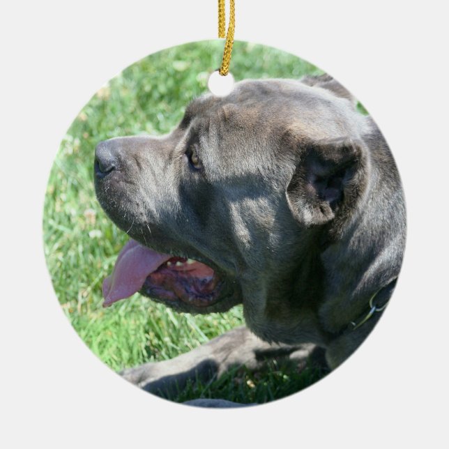 Cane corso dog ornament (Front)