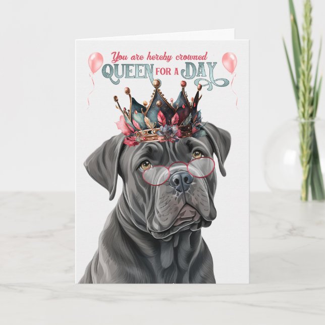 Cane Corso Dog Queen for Day Funny Birthday Card (Front)