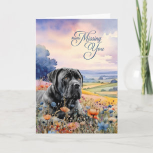 Cane Corso Dog Wildflowers Scenic Vista Miss You Card