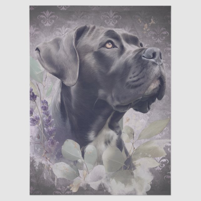 Cane Corso Floral Dog Tissue Paper (Front)