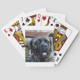 cane corso grey brindle playing cards