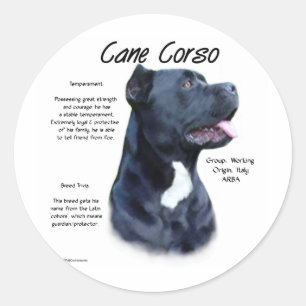 Cane Corso History Design Classic Round Sticker