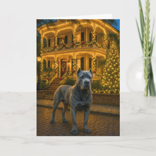 Cane Corso Holiday Card