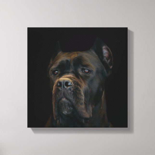 Cane Corso - Italian Mastiff Canvas Print (Front)