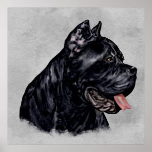 Cane Corso - Italian Mastiff Portrait Poster