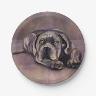 Cane Corso - Italian Mastiff Puppy Paper Plate