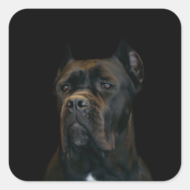 Cane Corso - Italian Mastiff Square Sticker (Front)