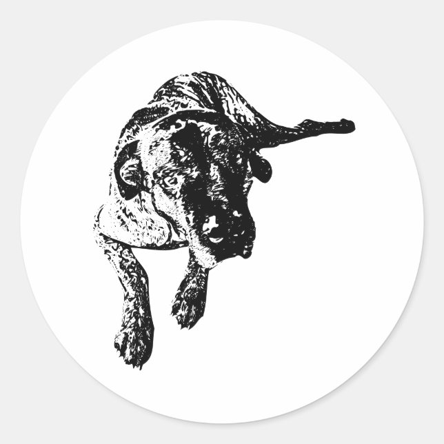 Cane Corso Lying Pose Dog Art Sticker (Front)