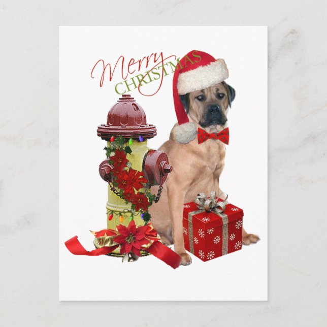Cane Corso Merry Christmas Holiday Postcard (Front)