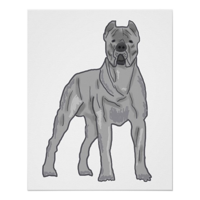 Cane Corso Poster (Front)