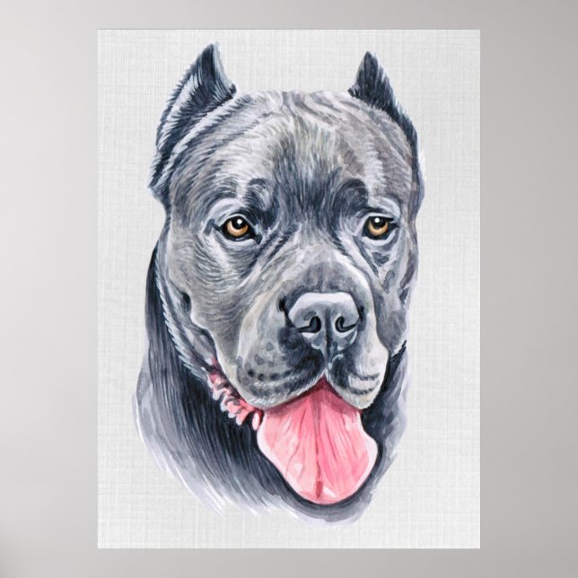 Cane Corso Poster (Front)