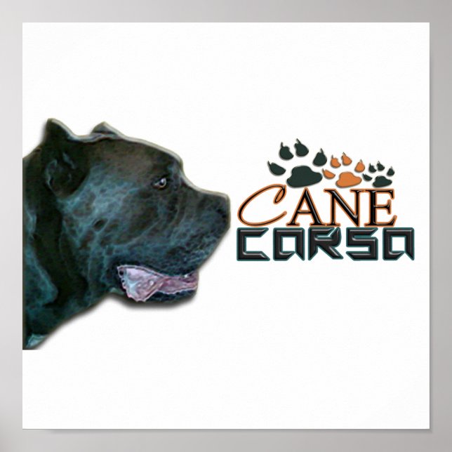 Cane Corso Poster(P) Poster (Front)
