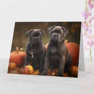 Cane Corso Puppy Autumn Delight Pumpkin Card