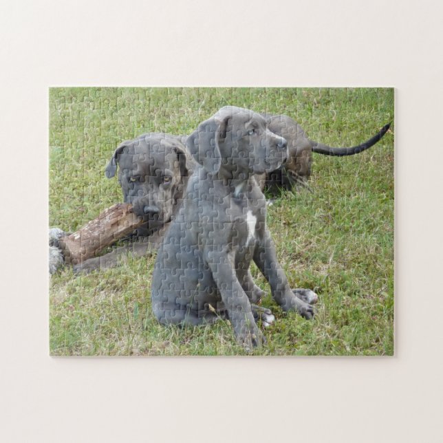 Cane Corso Puppy Cute Playful Jigsaw Puzzle (Horizontal)