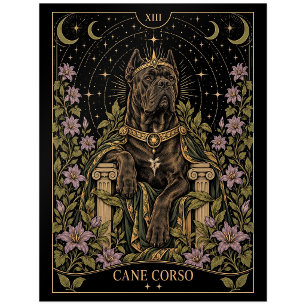 Cane Corso, Starlit Tarot Art Postcard