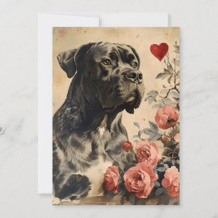 Cane Corso Vintage Valentine's Day Holiday Card