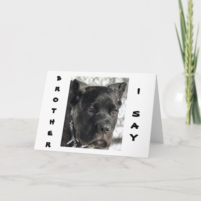 CANE CORSO WANTS TO CELEBRATE BROTHER'S BIRTHDAY CARD (Front)