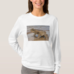 Cane Toad Rhinella marina, previously Bufo T-Shirt