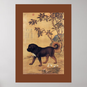 Cangni 苍猊 ~ Tibetan Mastiff ~ Giuseppe Castigl Poster