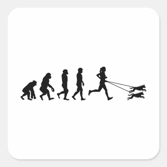 Canicross Trail Running Runner Dog Sport Evolution Square Sticker (Front)