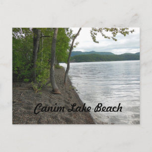 Canim Lake Beach Postcard
