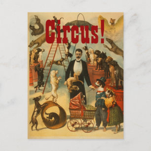 Canine Circus - Postcard #2