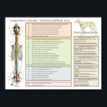 Canine Dog Spinal Nerves Function Veterinary Poster<br><div class="desc">The canine poster lists body function related to the spine and nervous system of the dog. Possible symptoms associated with dysfunction of the spine and interference of the nervous system. Listed by spinal level from the cervical vertebrae to the sacrum. Effects of spinal lesions by vertebral segments and how these...</div>