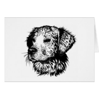 Canine Head Sketch