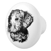 Canine Head Sketch 