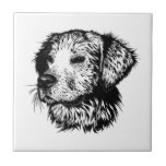 Canine Head Sketch  Tile<br><div class="desc">A young dog sketched in black - head portrait</div>