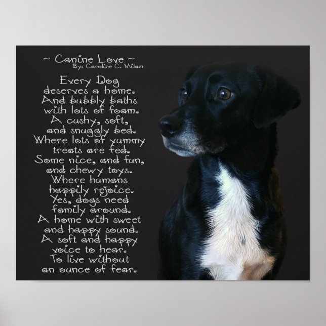 Canine Love Poster (Front)