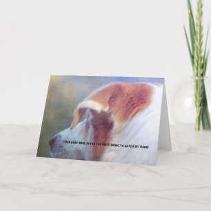 CANINE SALVATION Greeting Card