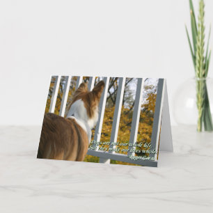 Canine Sympathy Card