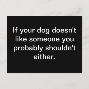 Canine Wisdom - Postcard