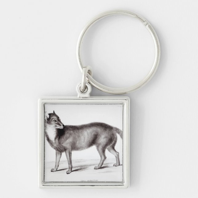 Canis Antarcticus Key Ring (Front)