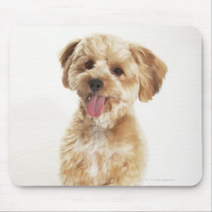 Canis familiaris mouse pad