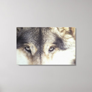 Canis Lupus Canvas Print