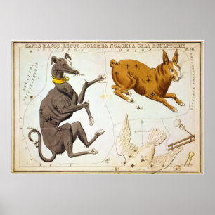 Canis Major, Lepus, Columba Noachi & Cela Sculptor Poster