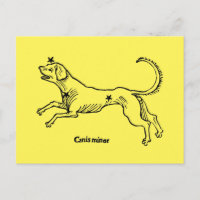 Canis Minor, 1482