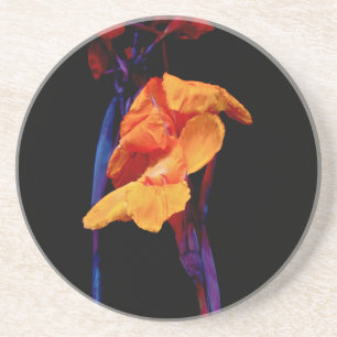 Canna Lilies on Black With Blue Coaster