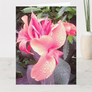 Canna Lily Photo BIG Card & Insp photo/words rear