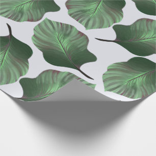 Canna Tropicanna Tropical Leaves, Green Wrapping Paper