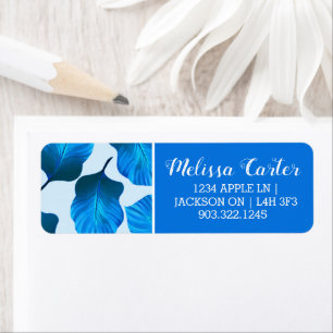 Canna Tropicanna Tropical Leaves in Blue