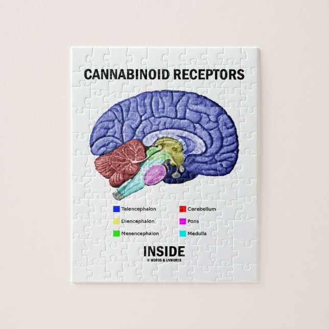 Cannabinoid Receptors Inside (Brain Anatomy) Jigsaw Puzzle (Vertical)