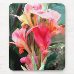 Cannas Pretty in Pink Mouse Pad