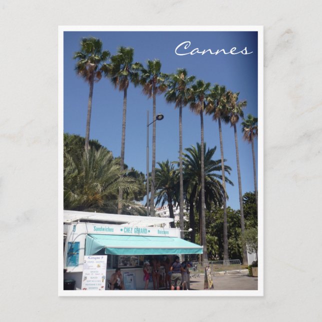 cannes palms stand postcard (Front)